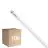Monipakkaus 10x Philips Master LED Putki T8 (EM/Mains) High Output T8 7.6W 1150lm - 865 Päivänvalo Valkoinen | 60cm - Korvaa 18W